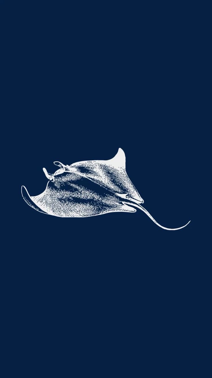 Sketch For Loop